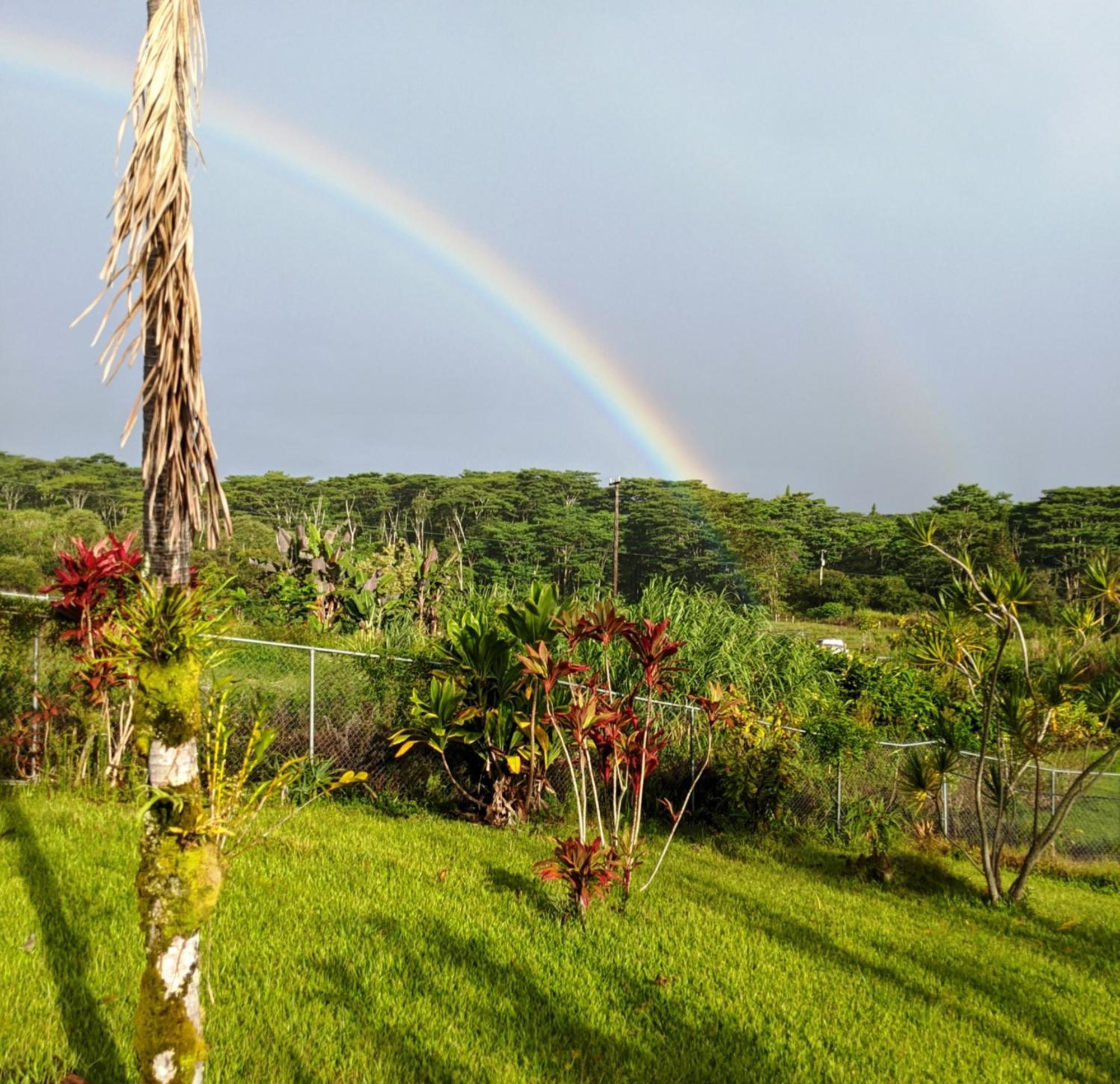 Hilo Luxury Suite Exterior photo
